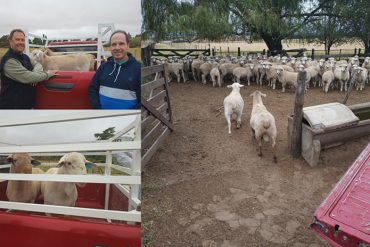 Se retomaron las actividades educativas-laborales en el vivero de la facultad