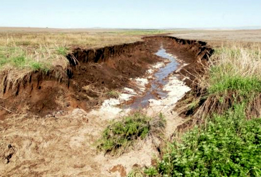 3_unrc_inundaciones16