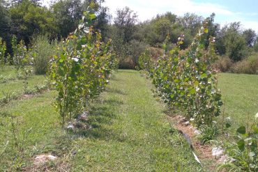 Curso posgrado sobre ordenamiento y manejo de cuencas sujetas a erosión hídrica
