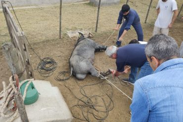 Jornada -taller sobre asignaturas de integración en la carrera de Ingeniería Agronómica