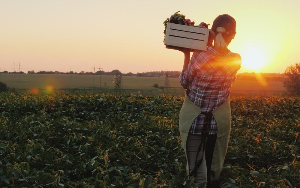 csm_Argentina_agroalimentario_41cded6d23